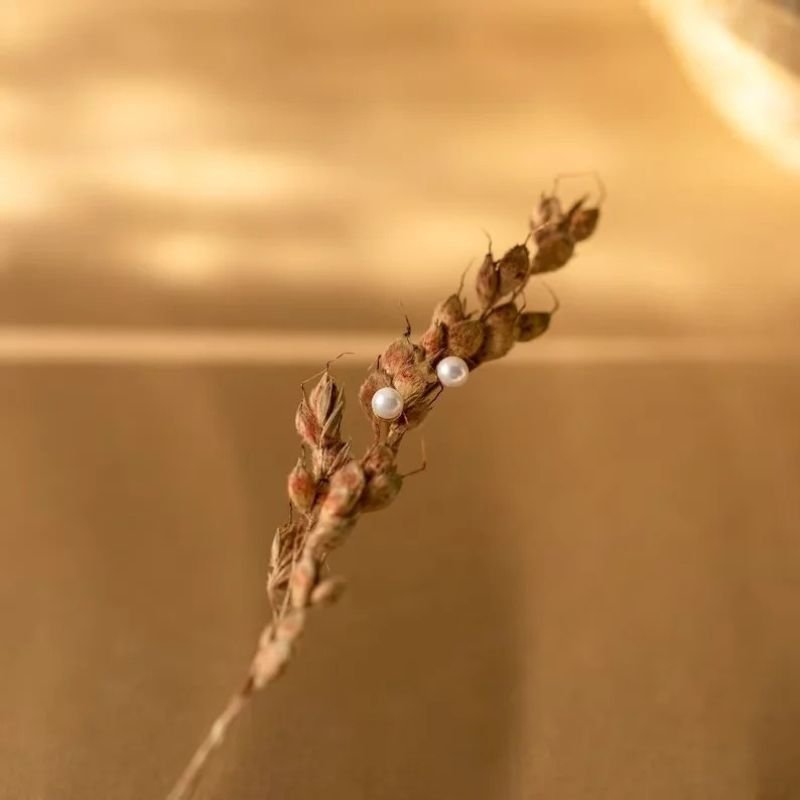 Boucles d'Oreilles Petites Perles d'Eau Douce